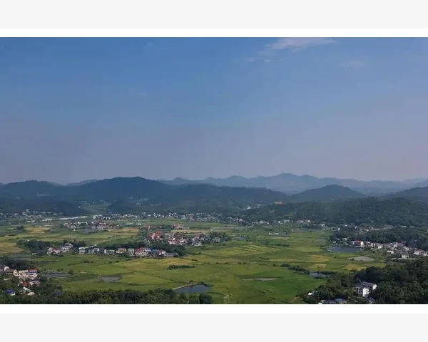 舌头上火？五种食物助你迅速降火！